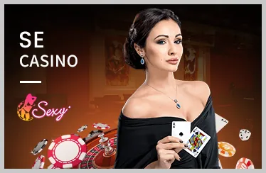 Hỗ trợ trực tuyến 24/7 vibet hiện đang mở